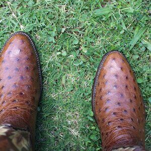 🪶 Tony Lama Signature Ostrich Cowboy Boots | Brown | Men’s 9.5 D | Luxe Western